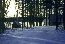 Photo: winter cabin on lake
