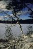 Photo: winter lake